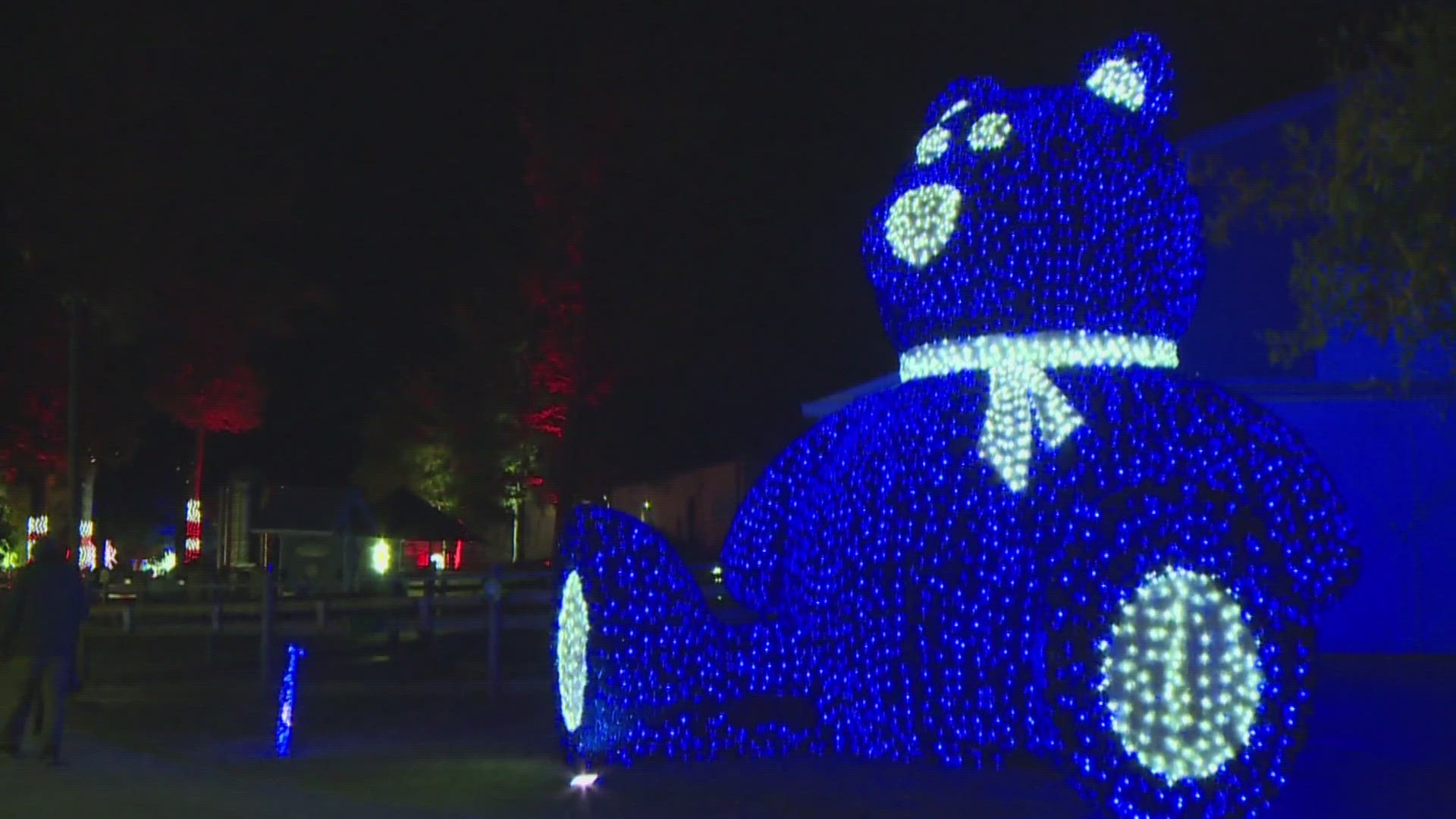 Winter Wonderlights is an outdoor light show experience at the Greensboro Science Center that is sure get you in the holiday spirit.