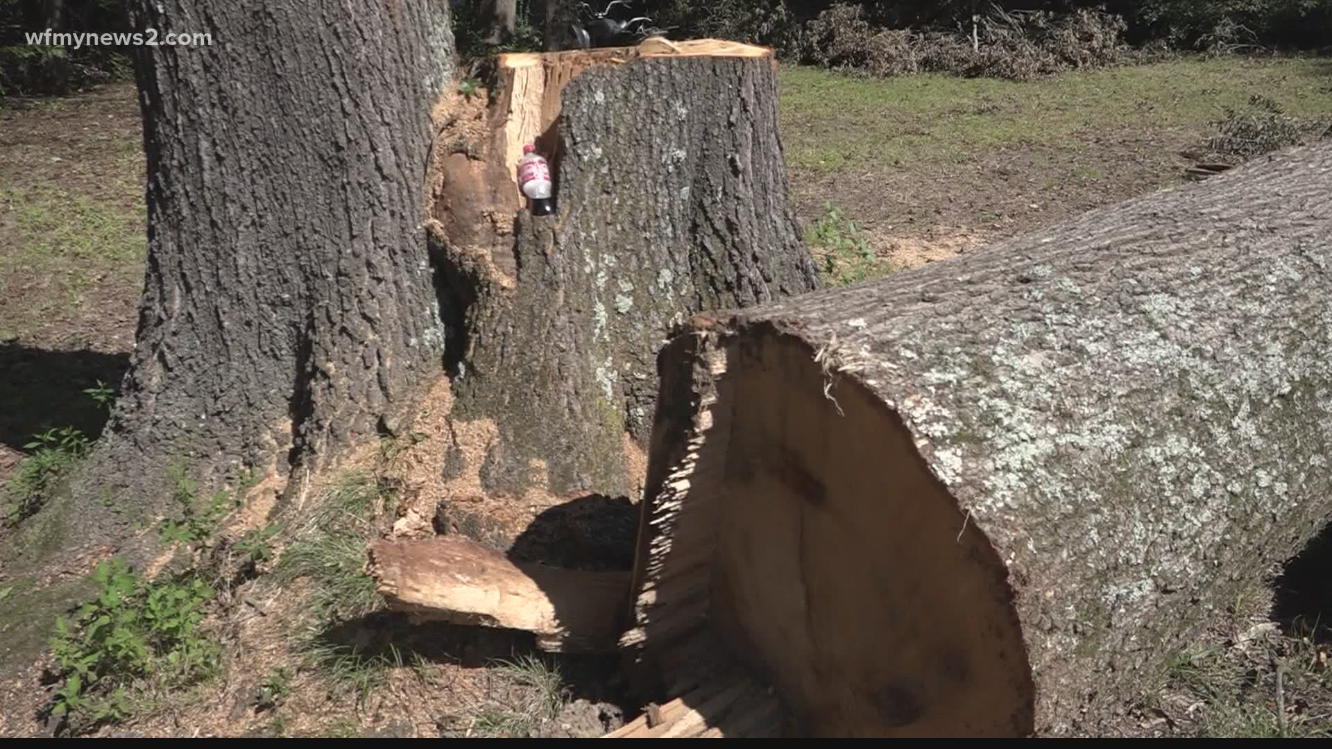 The landlord of the Echol's family's rental home wanted a tree cut down. But that tree fell on the home.
