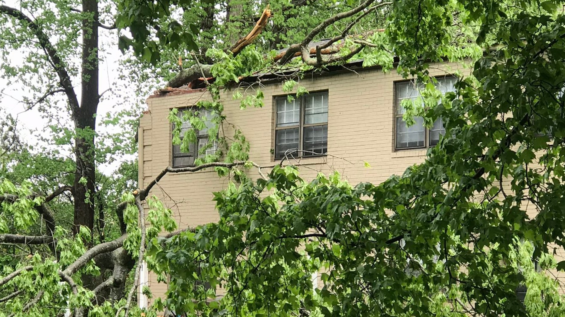 EF-1 Tornado Touched Down in Siler City: NWS | wfmynews2.com