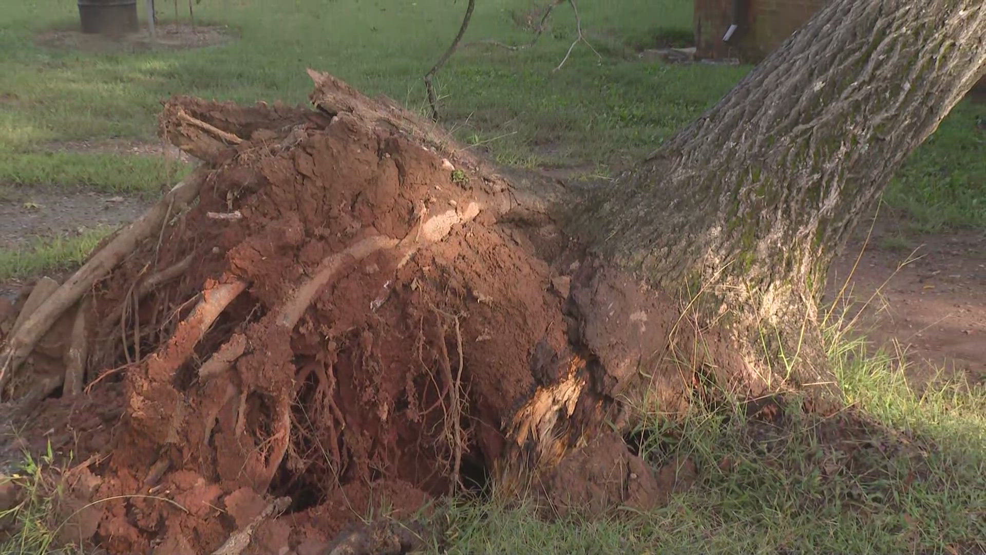 Heavy rain and winds snapped off trees throughout the Triad including one at Pamona Park.