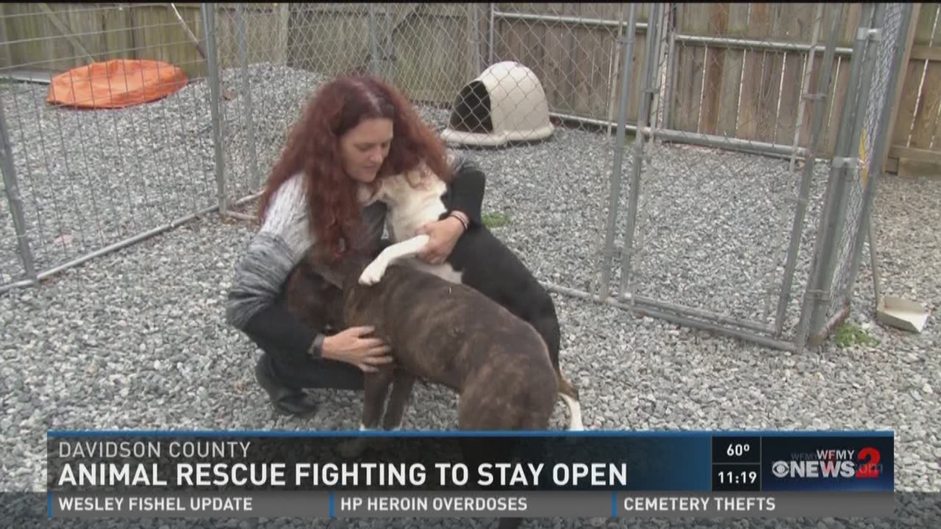 Ruff Love Rescue Pleads With Davidson County: Let Us Stay 