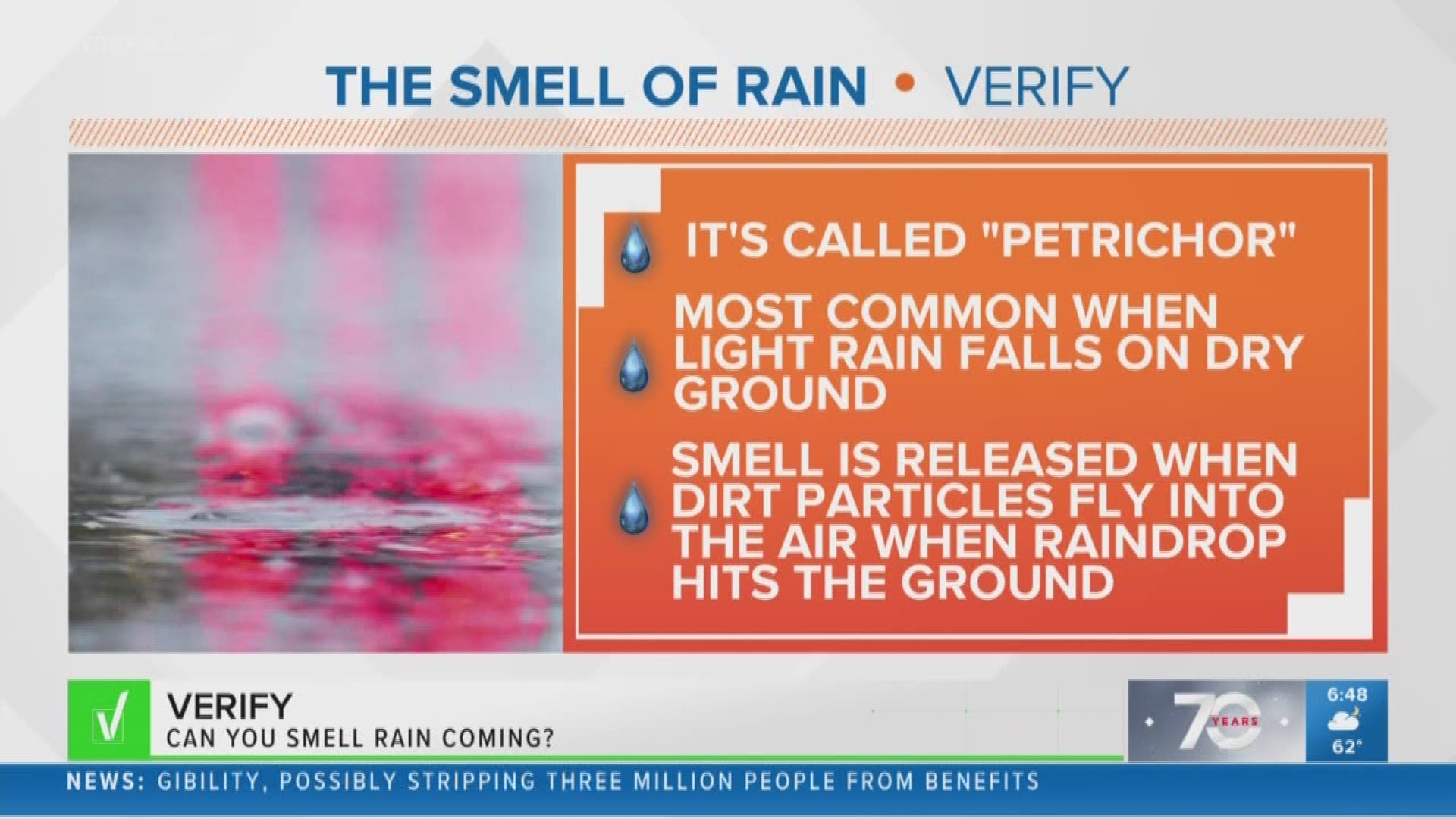 You ask; we VERIFY. If you think you “smell” rain coming, it’s not a figment of your imagination or a sixth sense. It is a real scientific phenomenon when rain reacts with soil.