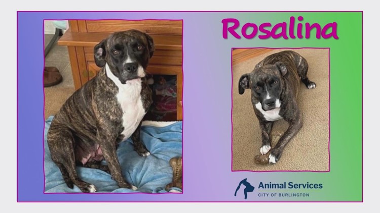 2 the Rescue : Meet Rosalina
