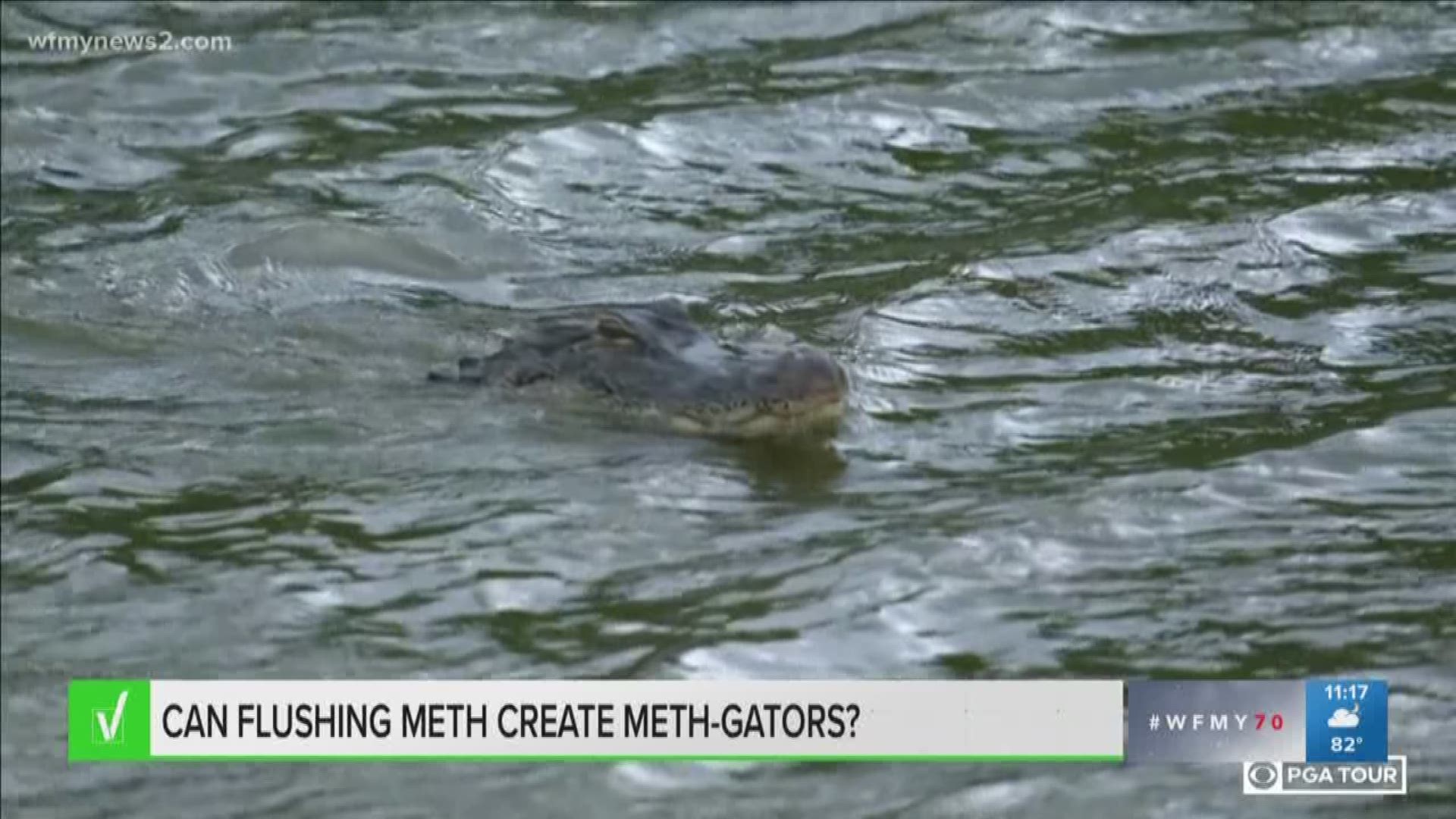 One police department is warning people that if they flush meth down the toilet, it could create meth gators.
