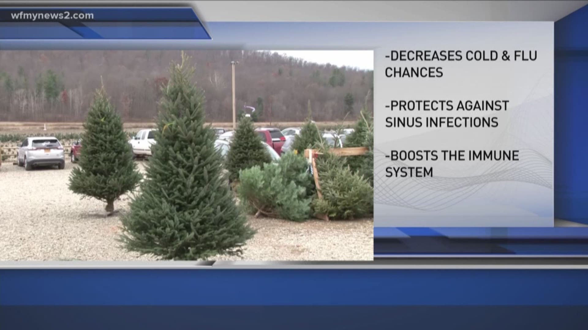 The Health Benefits To Buying A Real Christmas Tree