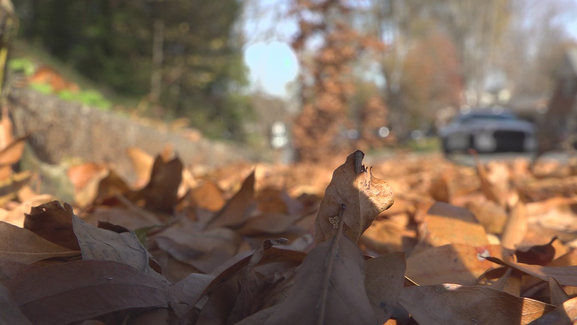 Greensboro’s new leaf collection policy requiring bagging leaves is sparking backlash. Thousands want loose-leaf pickup back, but the city says roads are safer now.