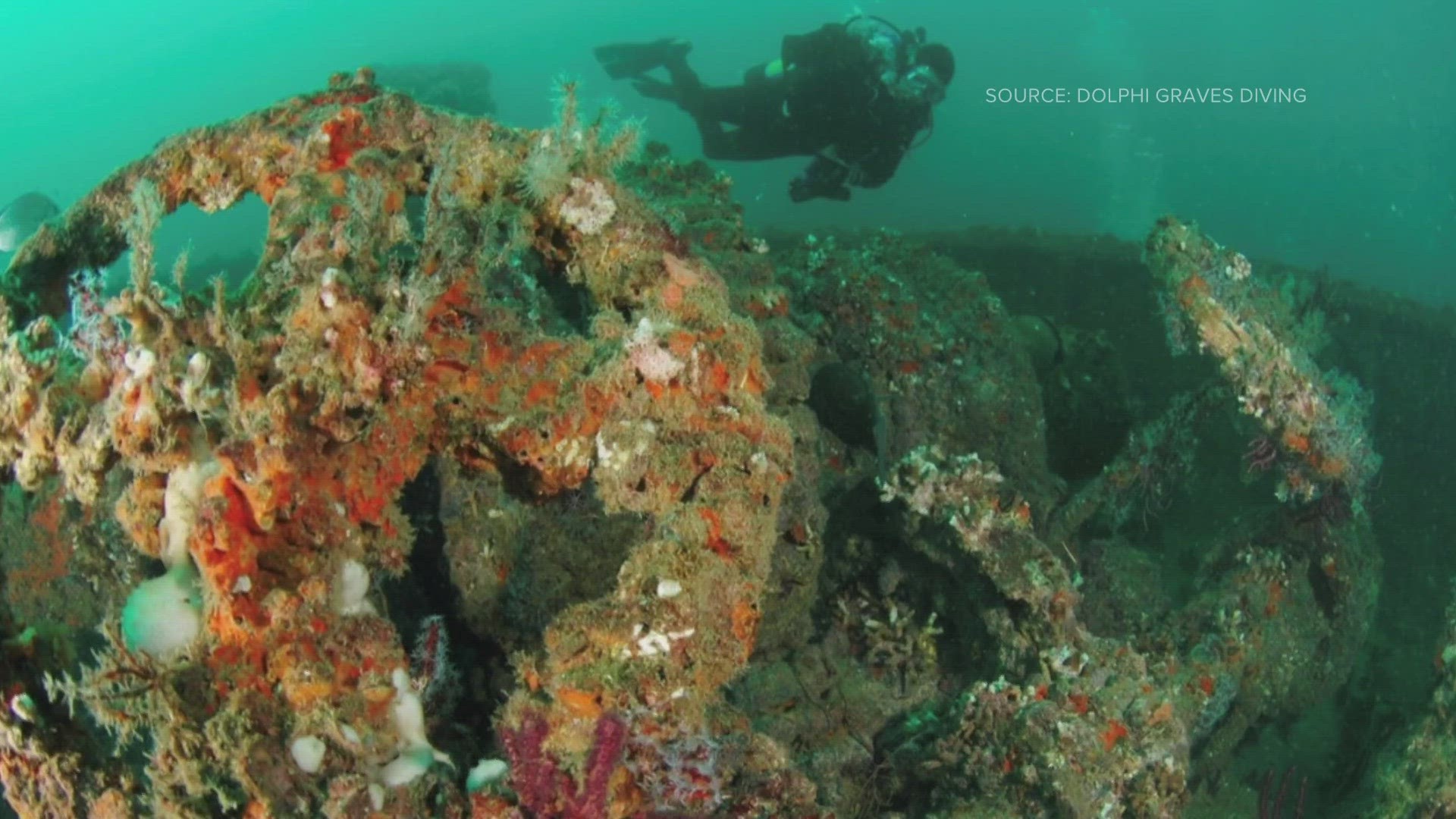 There are thousands of shipwrecks off the North Carolina coast, and NADCO diving school in Greensboro says several of them are great diving sites.