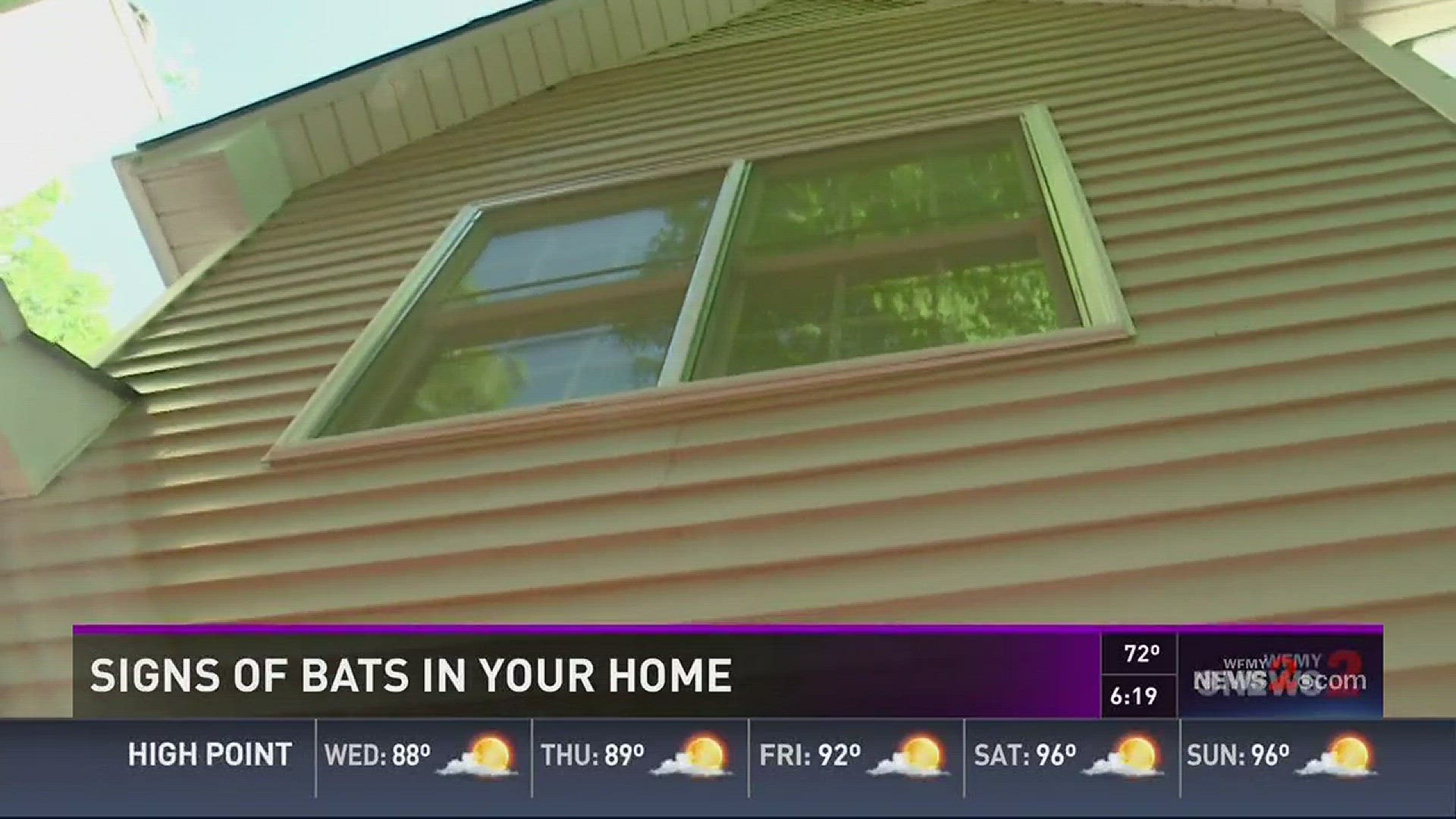 Tips: How to Keep Bats From Nesting in Your Home | wfmynews2.com