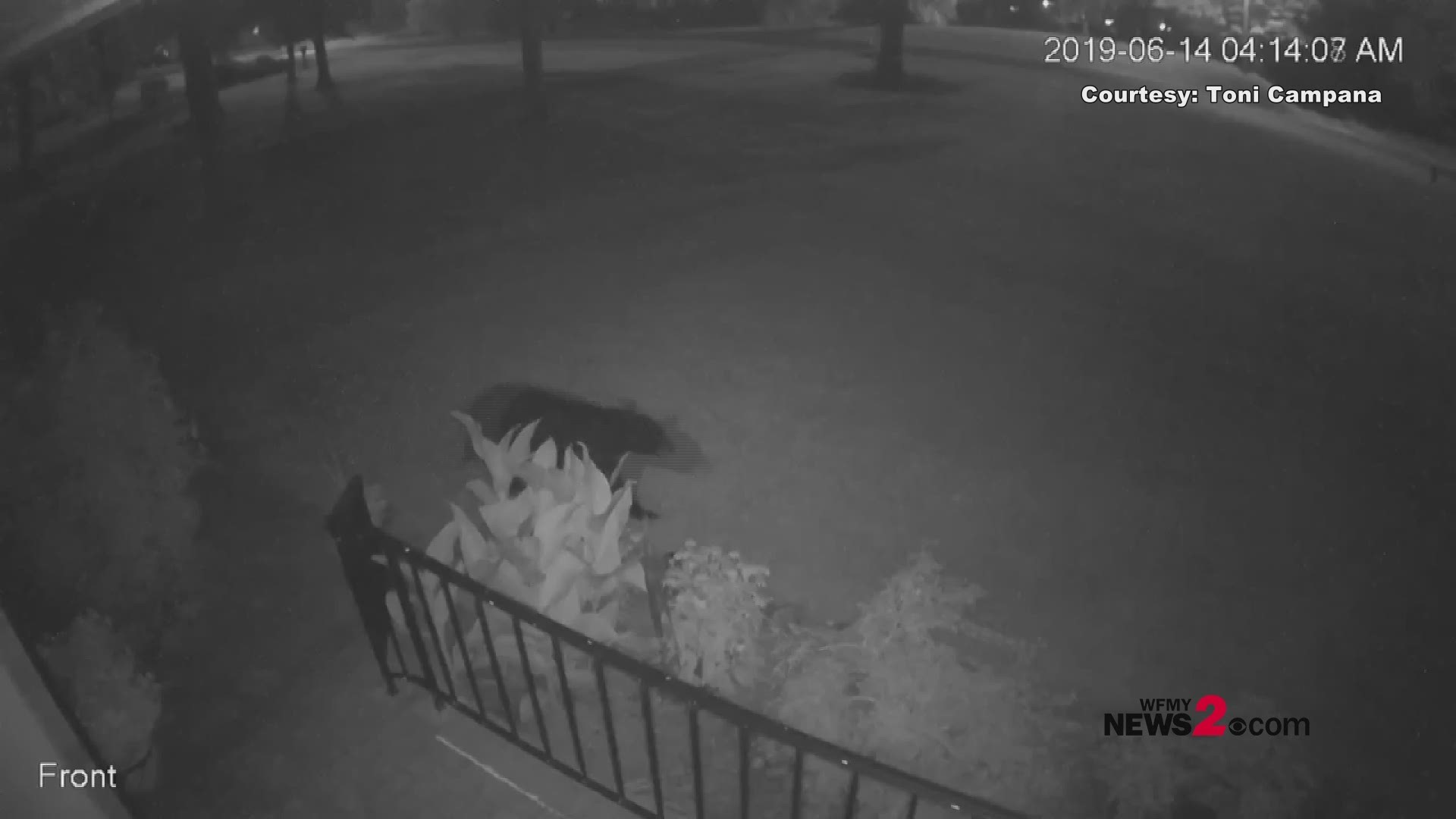 The bear was caught on camera on Woodlyn Way in the Sedgefield Lakes neighborhood in Greensboro early Friday morning.