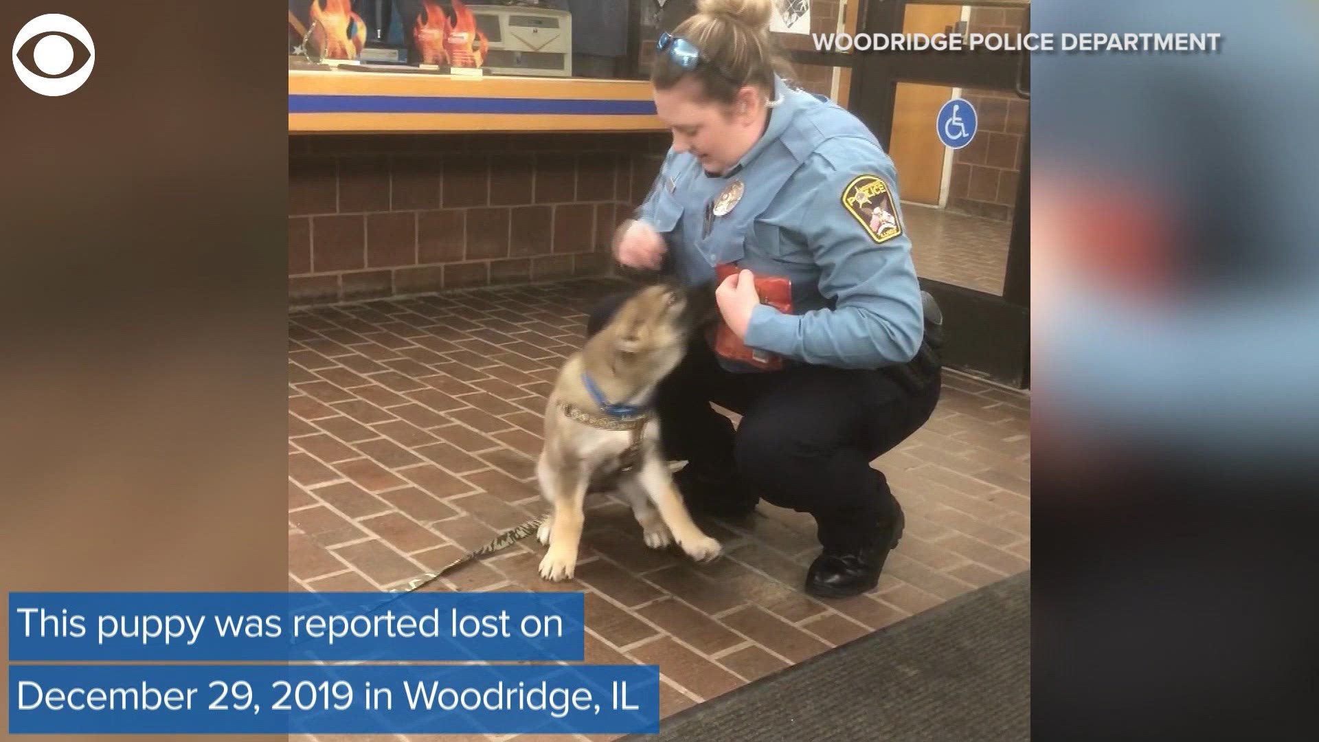 An Illinois police officer was reunited with a puppy she rescued that was reported lost at the end of last year. Take a look at the adorable moment they met again.