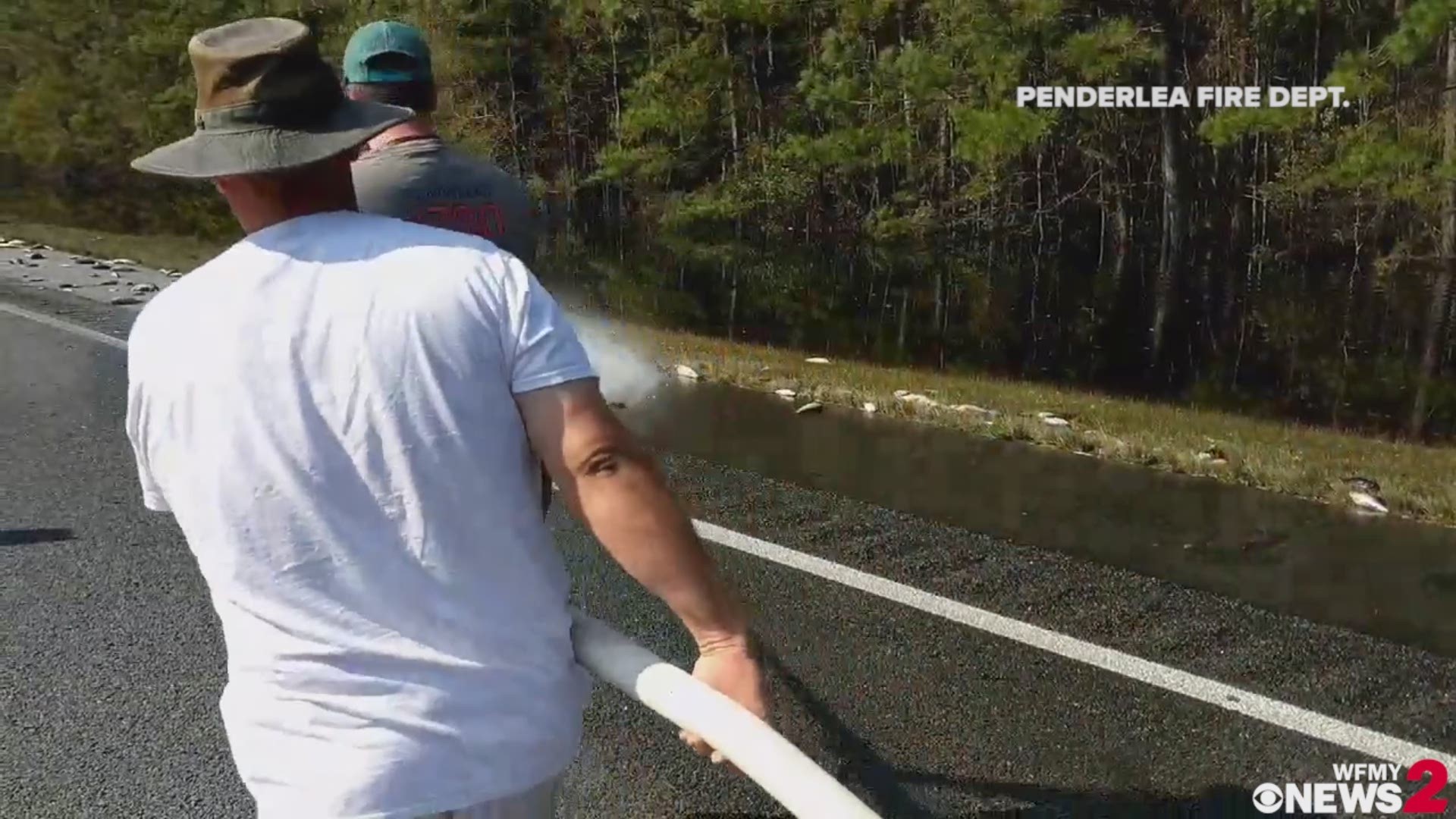 NC Fire Department Sprays Fish Off I-40 After Florence