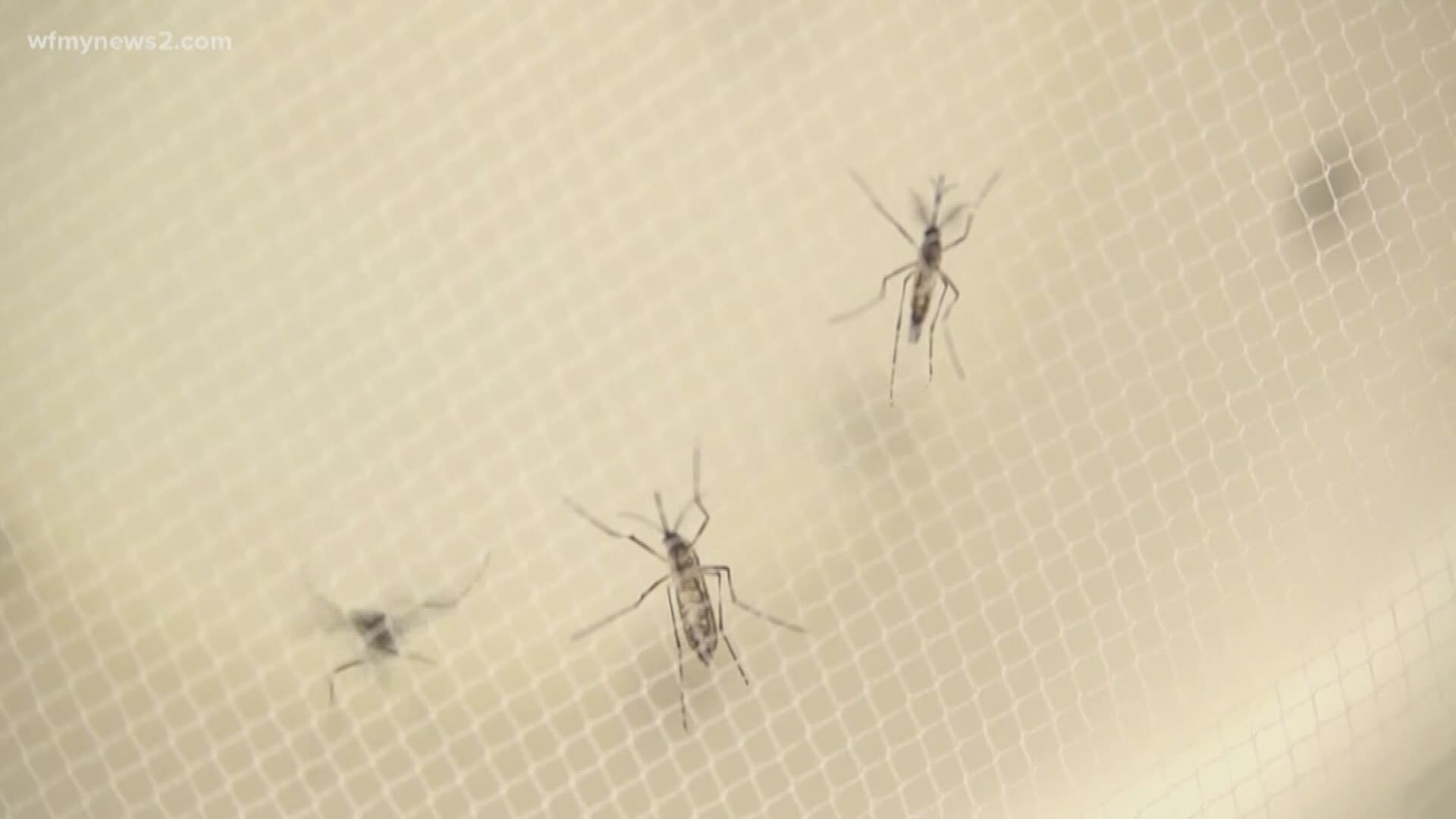 Health officials say you should use insect repellent with DEET