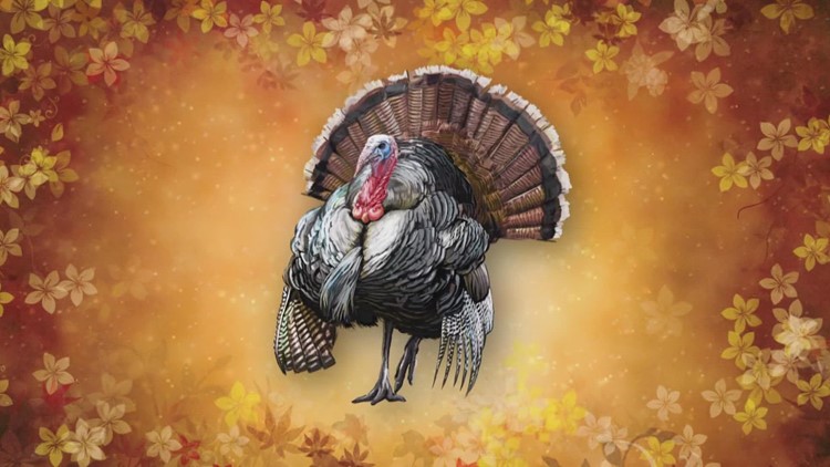 History of the Thanksgiving turkey