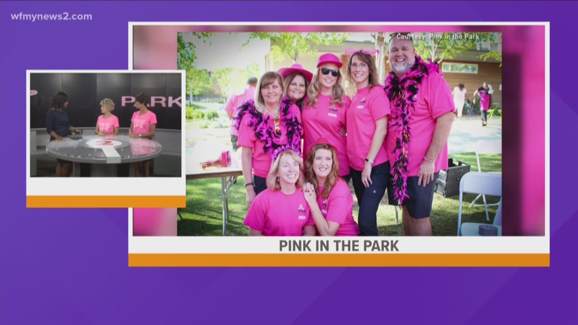 12th Annual Pink In The Park Kicks Off Breast Cancer Awareness Month