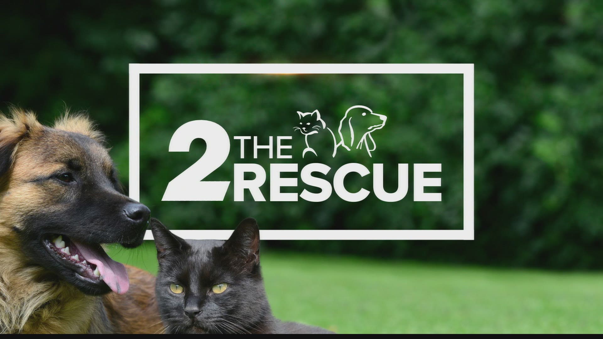 2 The Rescue: Meet Rueger