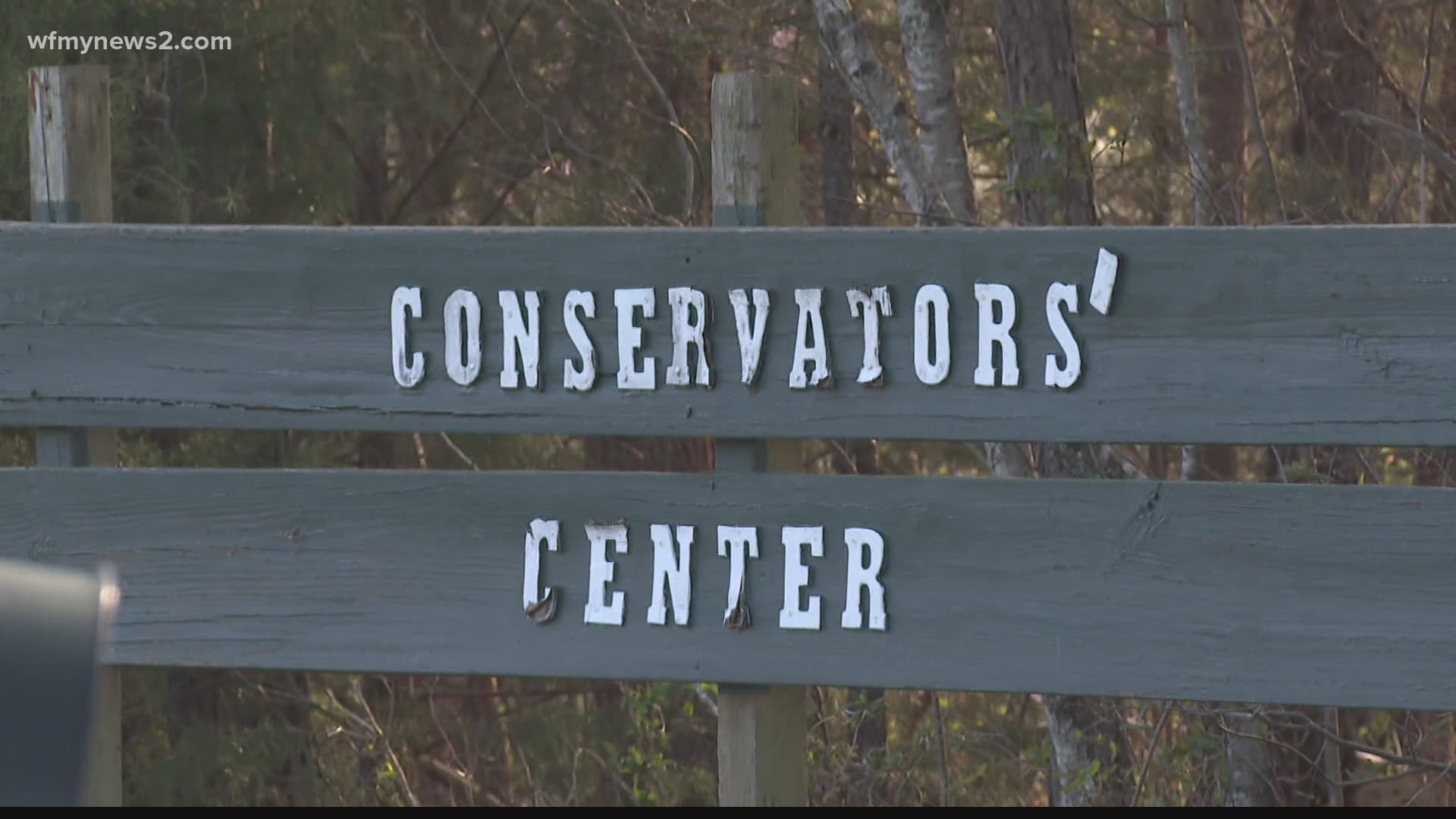 Two wolves attacked the woman at the Caswell County animal park. It's the second animal attack at the park in just over two years.
