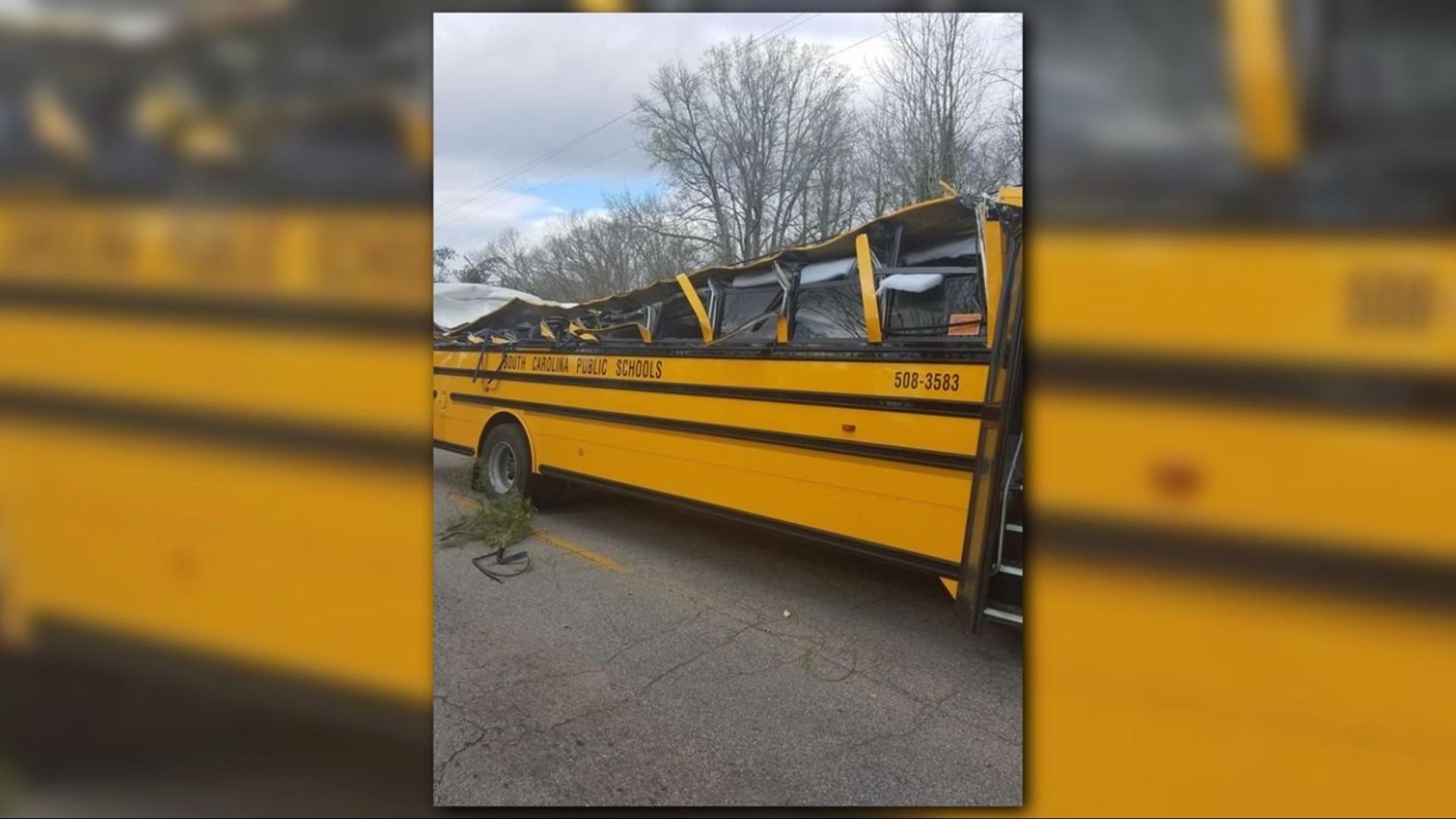 5 Students Hurt After Tree Falls On SC School Bus | Wfmynews2.com