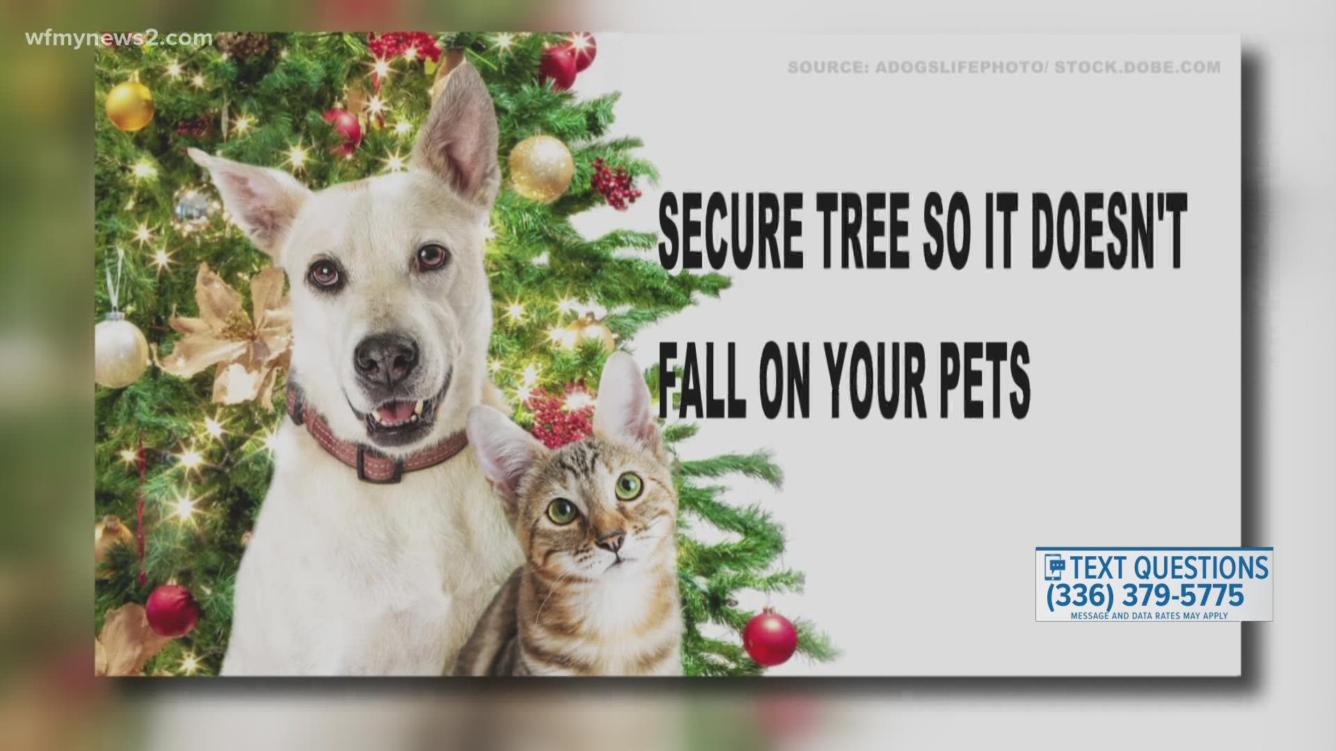 2 Wants to Know talks with a vet to learn how to keep your furry friends safe as temperatures drop.