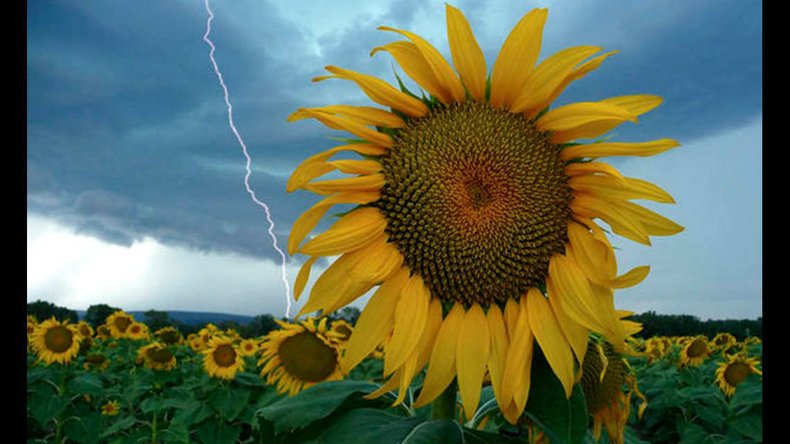 photos | lightning captured across the world