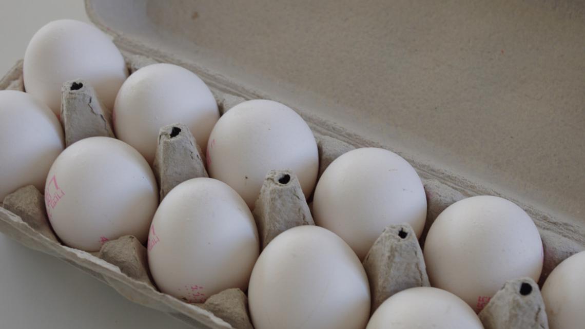 Check Your Eggs! 200 Million Eggs Recalled Over Salmonella Fears ...