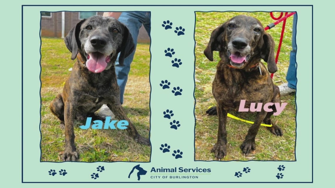 2 the Rescue: Meet Jake and Lucy