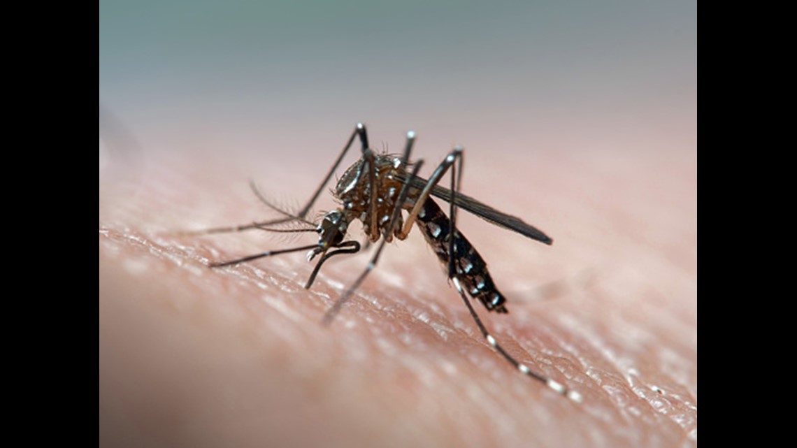 Consumer Reports: Skip These 5 Types Of Insect Repellent | Wfmynews2.com