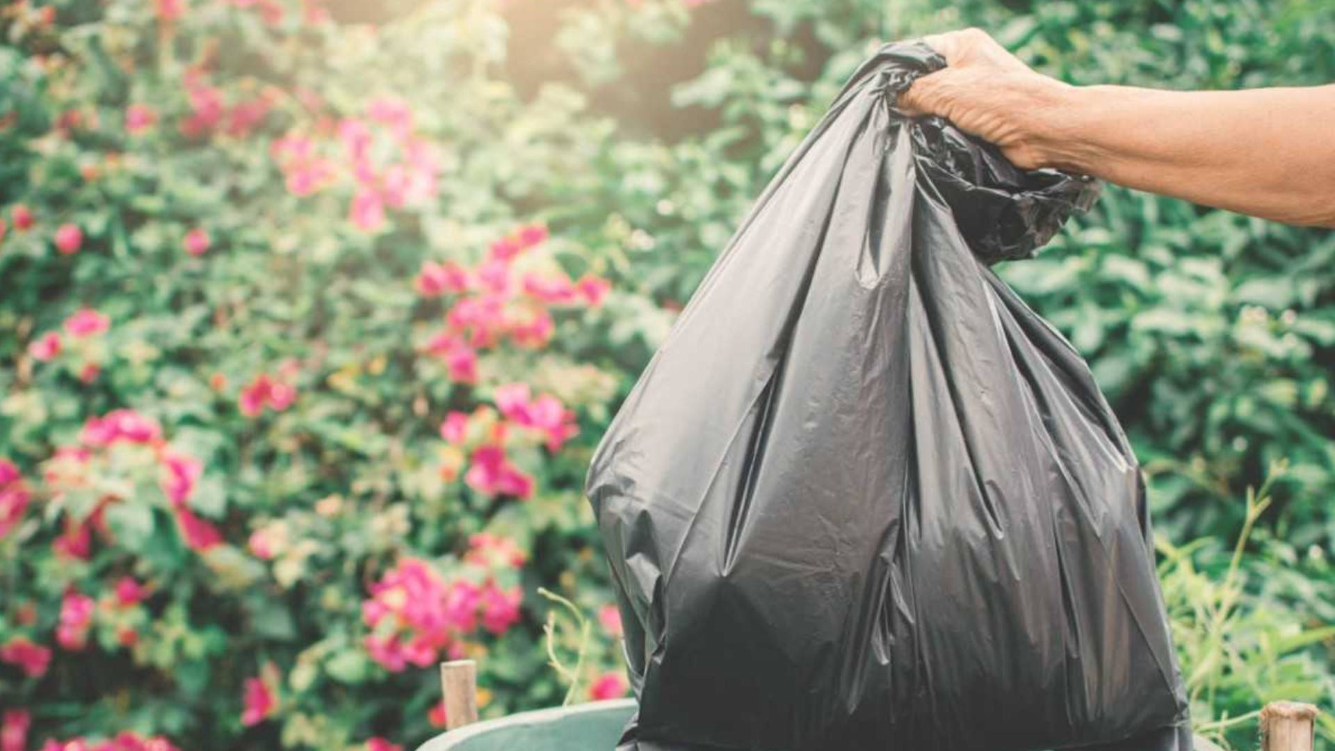 City Of High Point Holiday Trash Collection Schedule