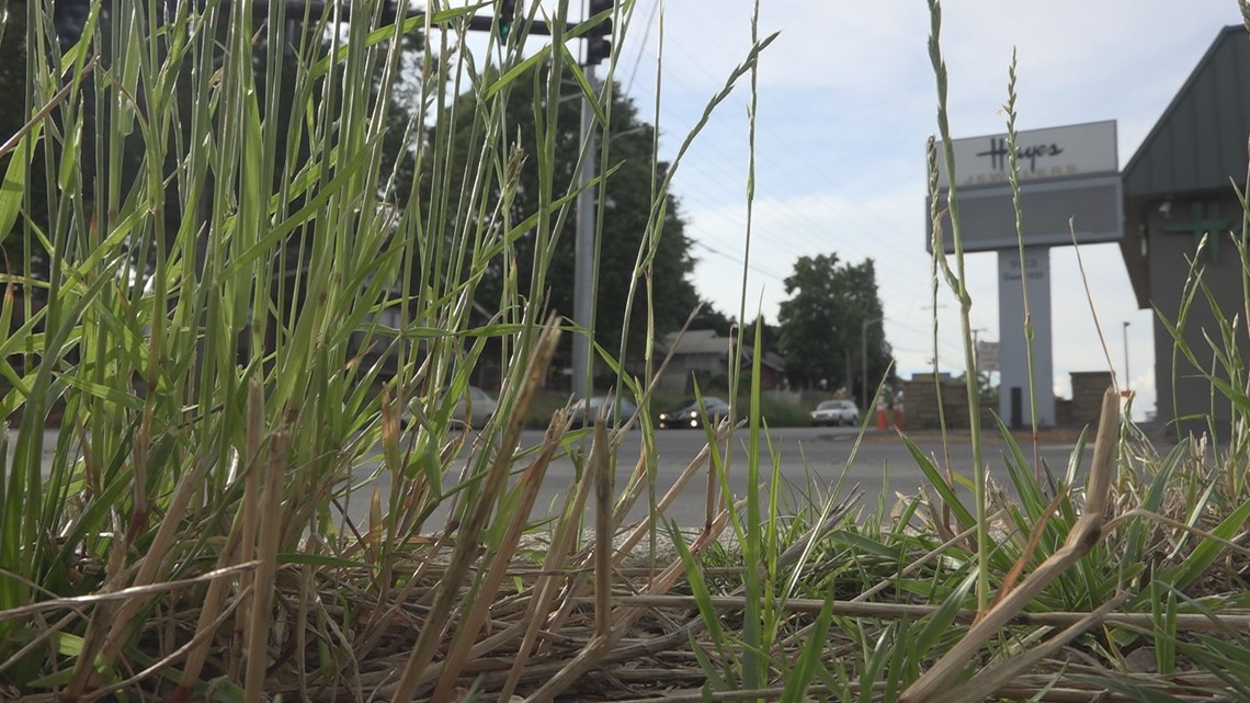 Winston Road Widening Lexington Leaders Vote 'Yes' To Support NCDOT