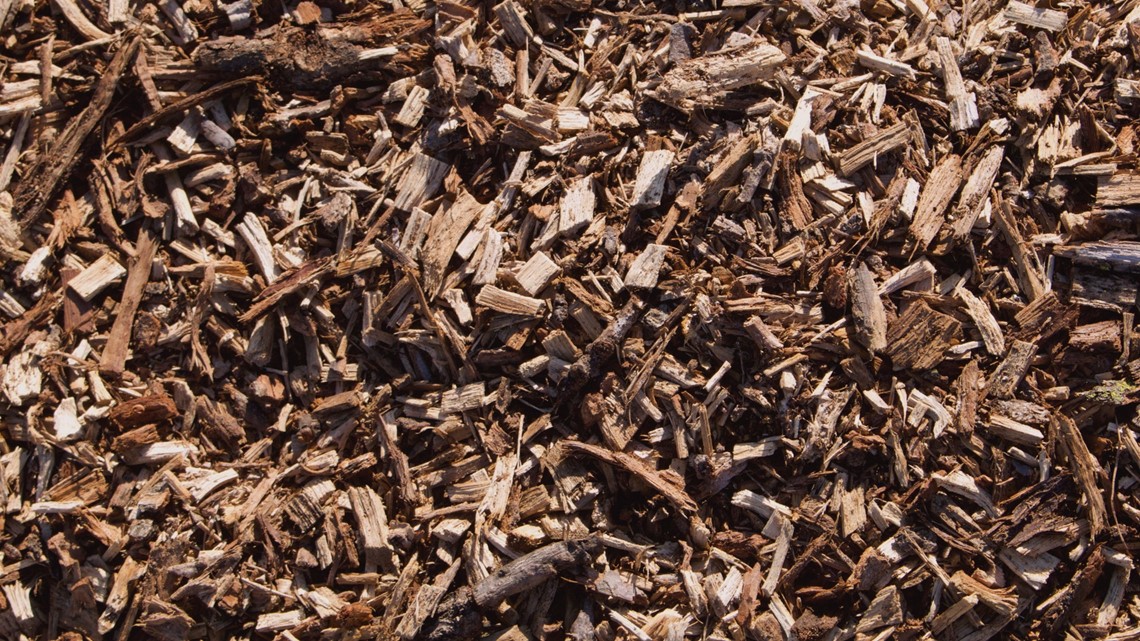 Verify Can Mulch Catch On Fire On Its Own?