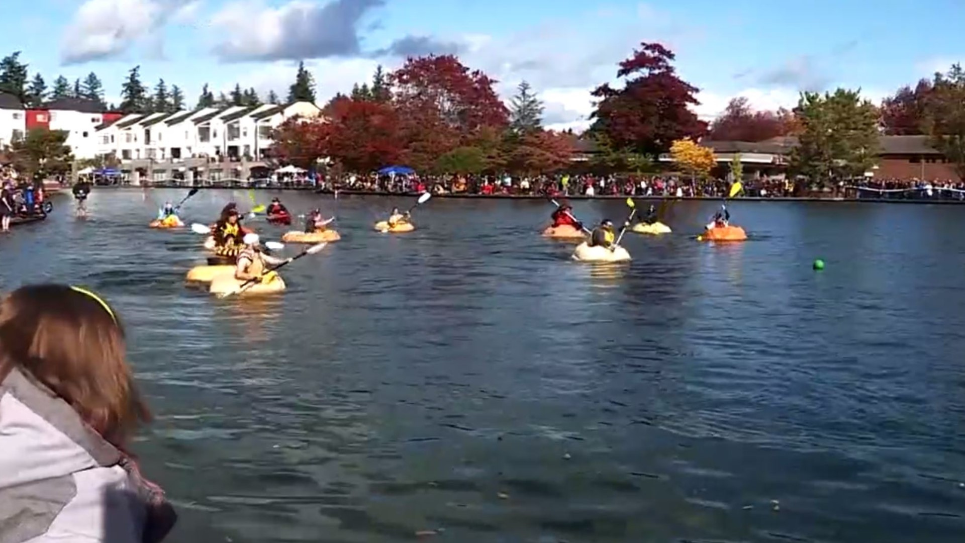 Hollowed out pumpkins used as canoes in the great pumpkin regattat in Tualatin, Oregon.
