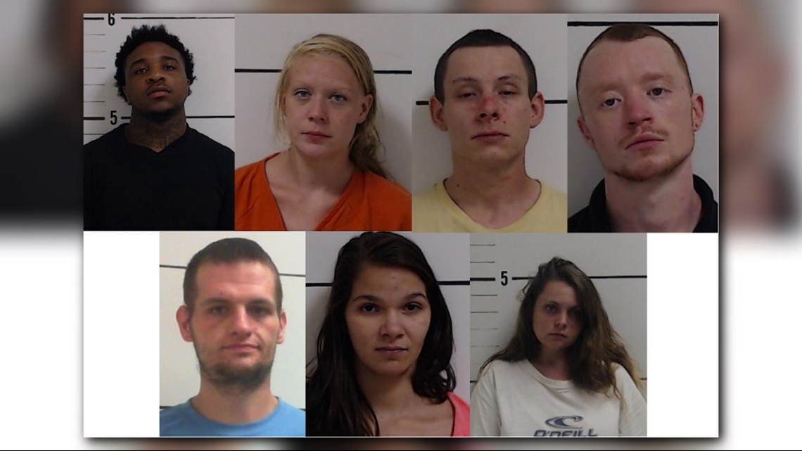 Seven Arrested In Surry County Drug Busts