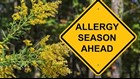 Sneezing, itching and watery eyes? It's probably spring allergies