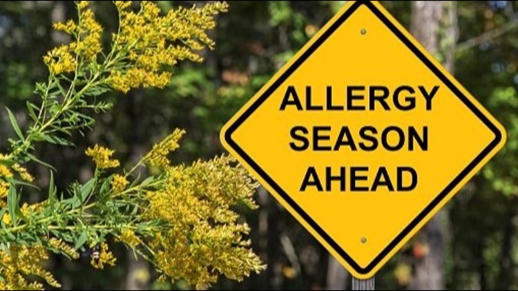 Sneezing, itching and watery eyes? It's probably spring allergies