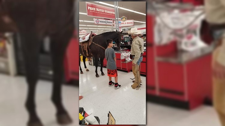 buy horse feed near me