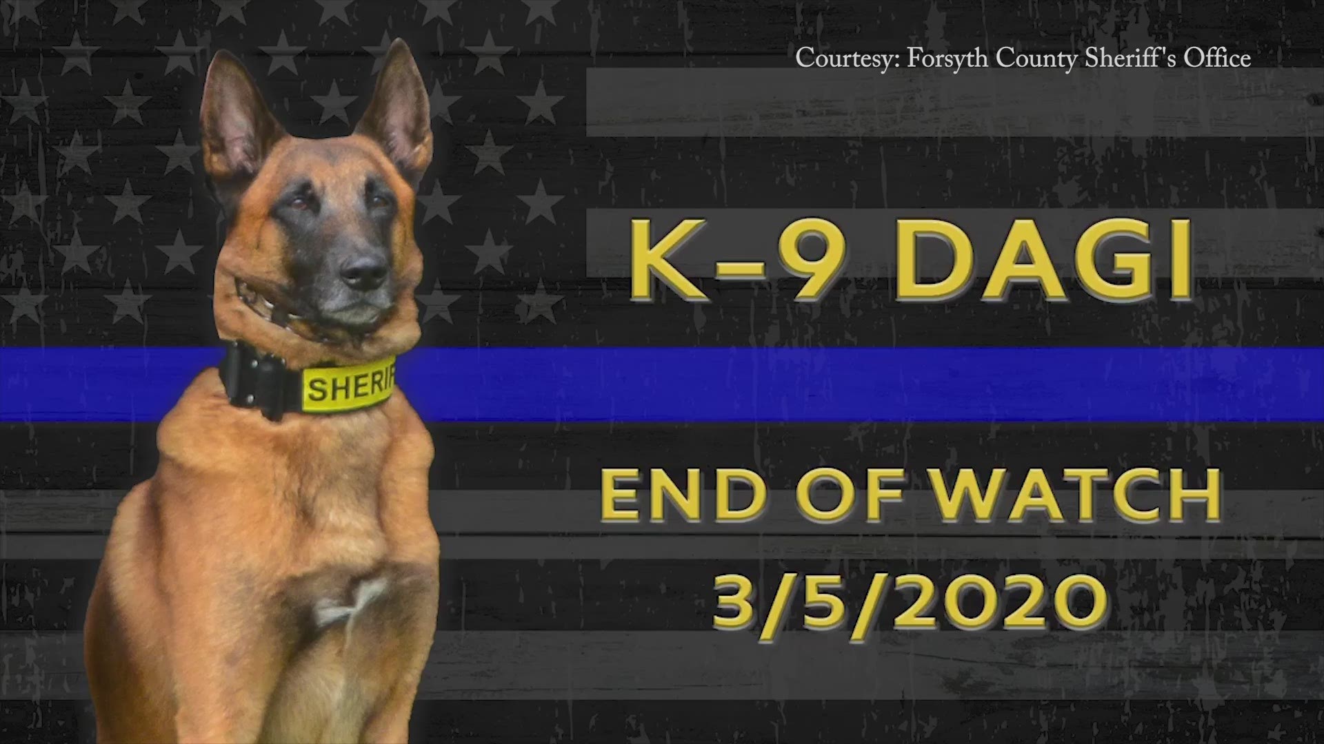 K-9 Dagi passed away on March 5, 2020. Dagi was described as a true hero, partner, deputy, and friend among his colleagues.