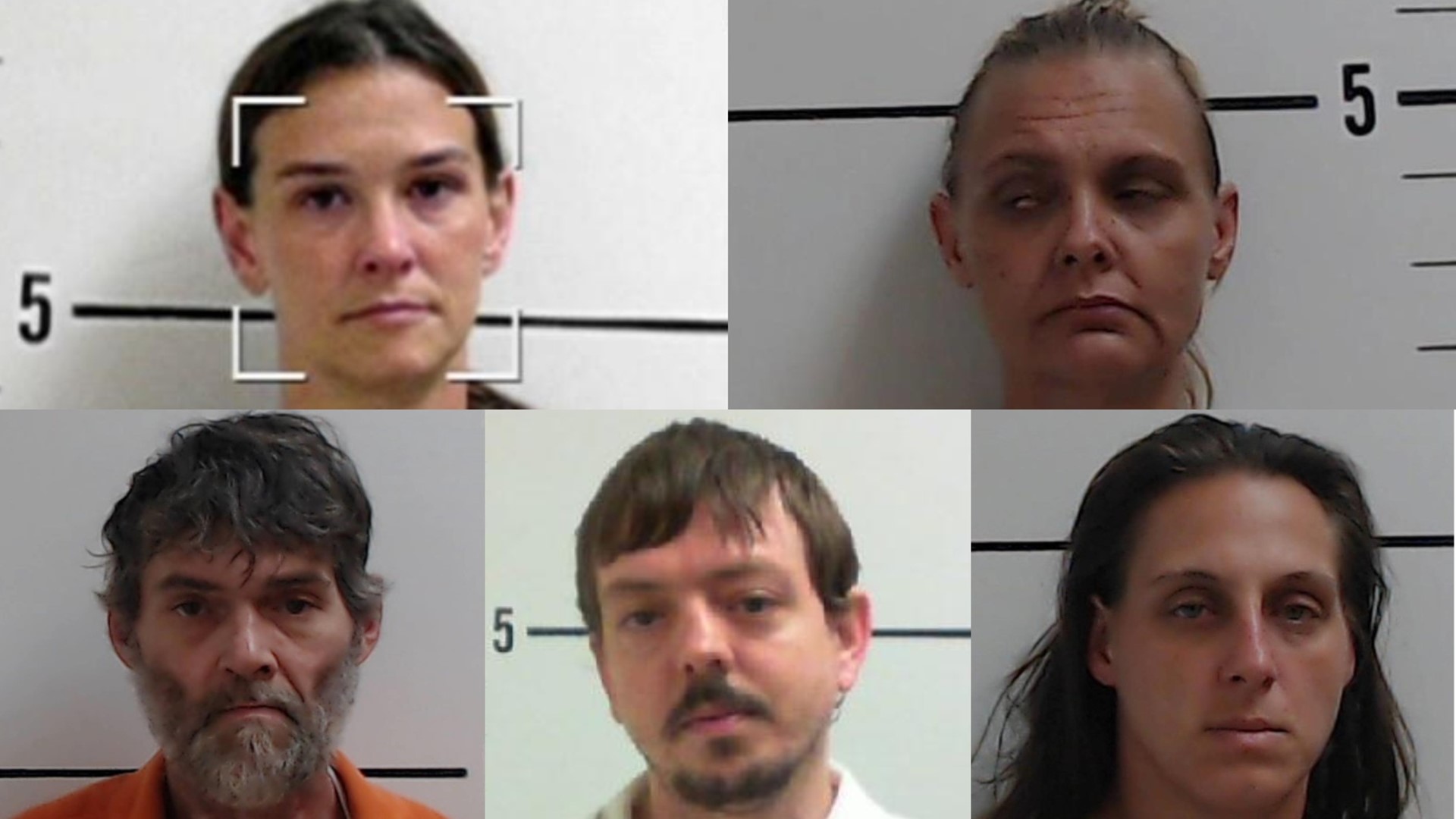 5 Charged In MultiAgency Pinnacle Area Drug Bust