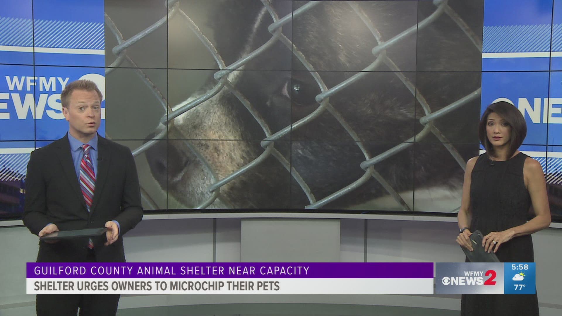 The Guilford County Animal Shelter says their nearing max capacity. Staff says a lot of the pets don't have microchips so they can't contact their owners.
