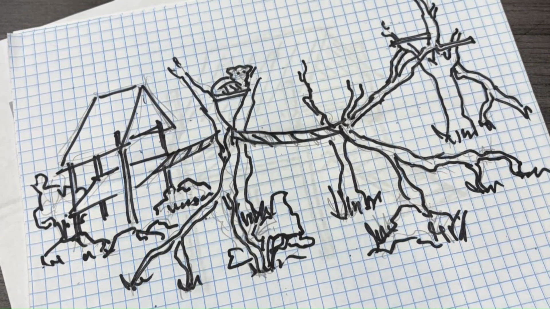 How science, math, and art come together to build animal habitats at ...