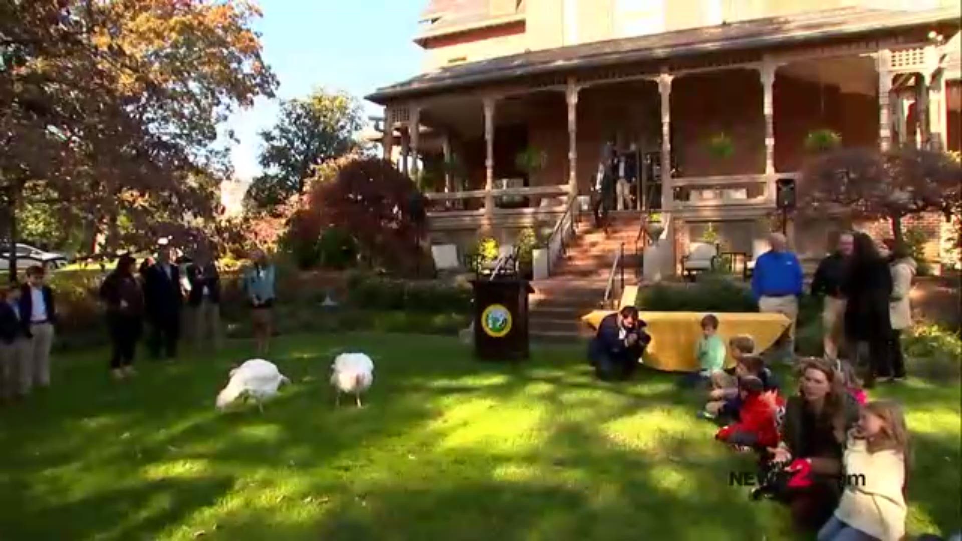 NC Governor Roy Cooper has pardoned Wilbur and Orville. The turkeys will live out their days at the Naylor Family Farm in Fuquay-Varina. Courtesy: WTVD