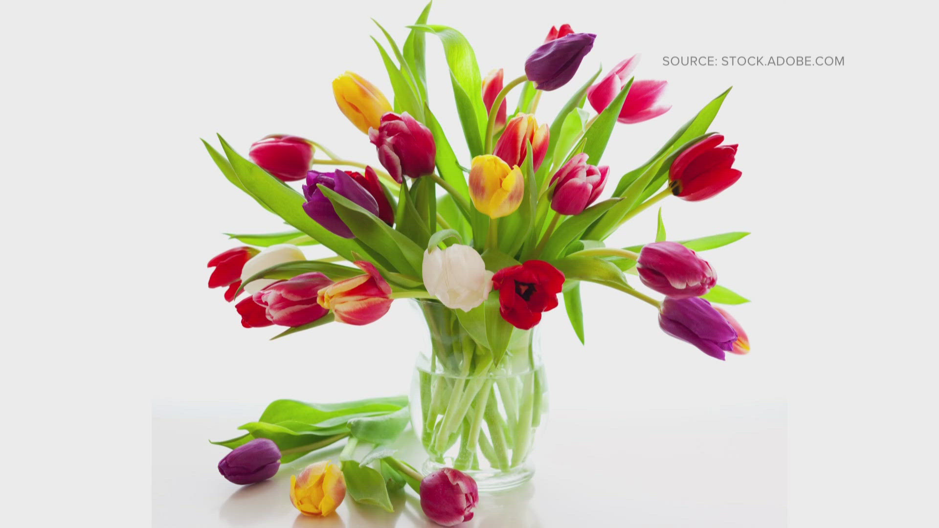 2WTK shares tips on how to keep your Mother's Day Flowers alive longer.