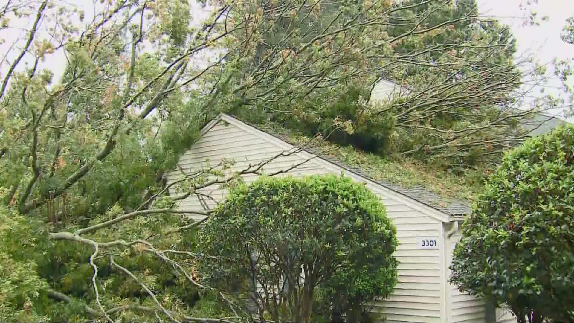 Blustering wind gusts knocked a tree onto a home in Greensboro. Fire officials said it caused significant damage to the roof.