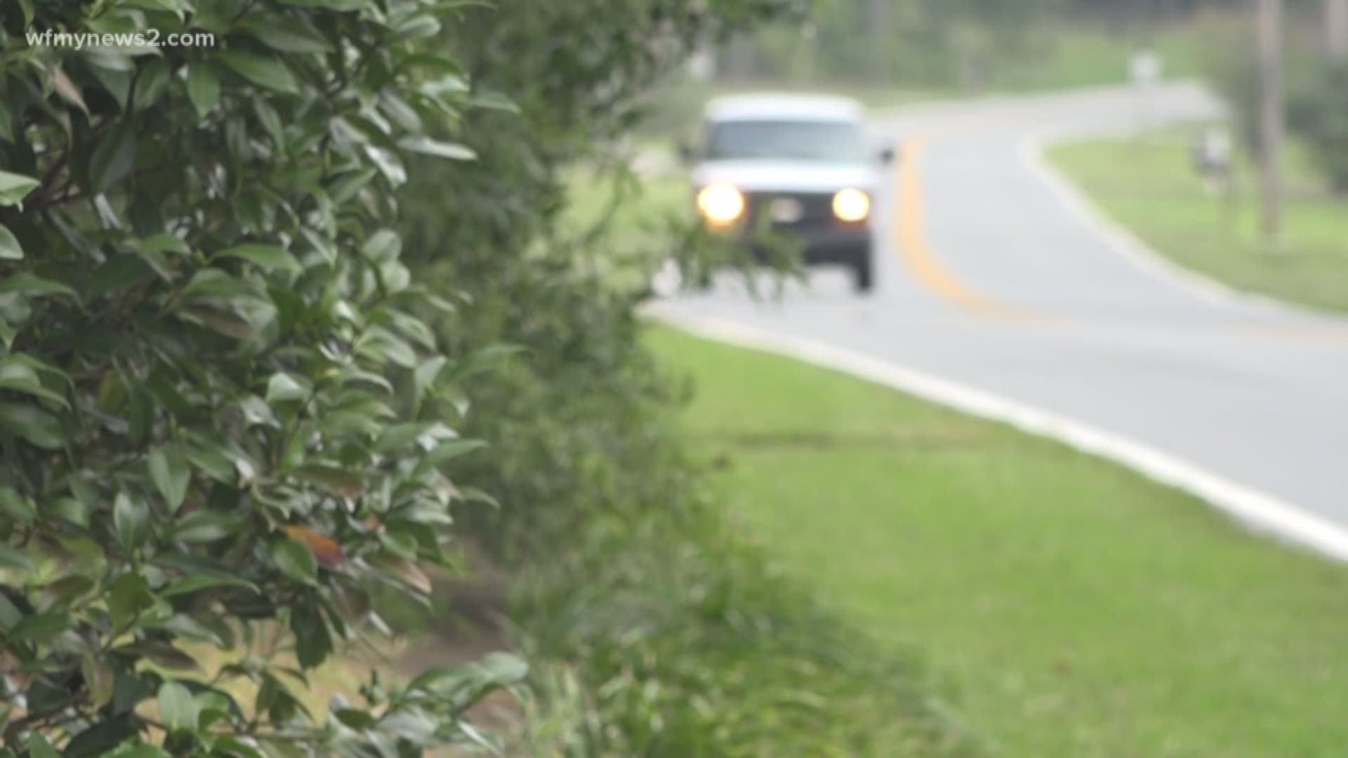 A Davidson county mom says two men tried to lure her 7-year-old son into a car while he was playing in their front yard.