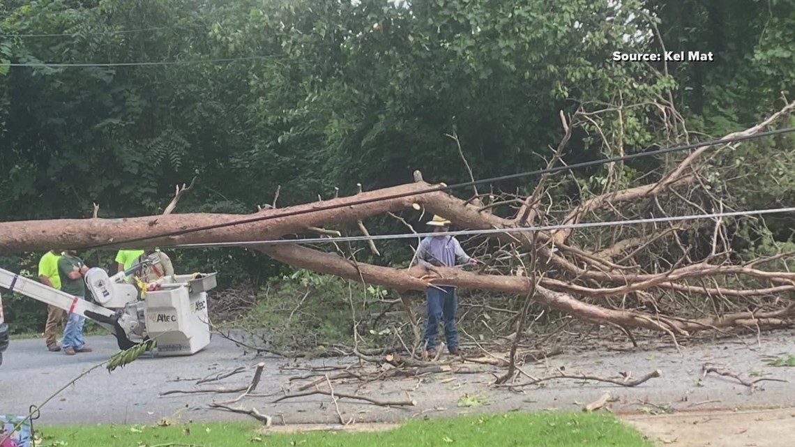 Greensboro neighborhood blocked by downed tree