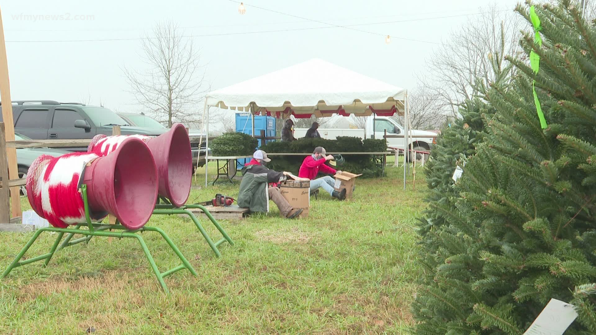 The Wagoner family has been selling Christmas trees in the Triad for over 35 years.