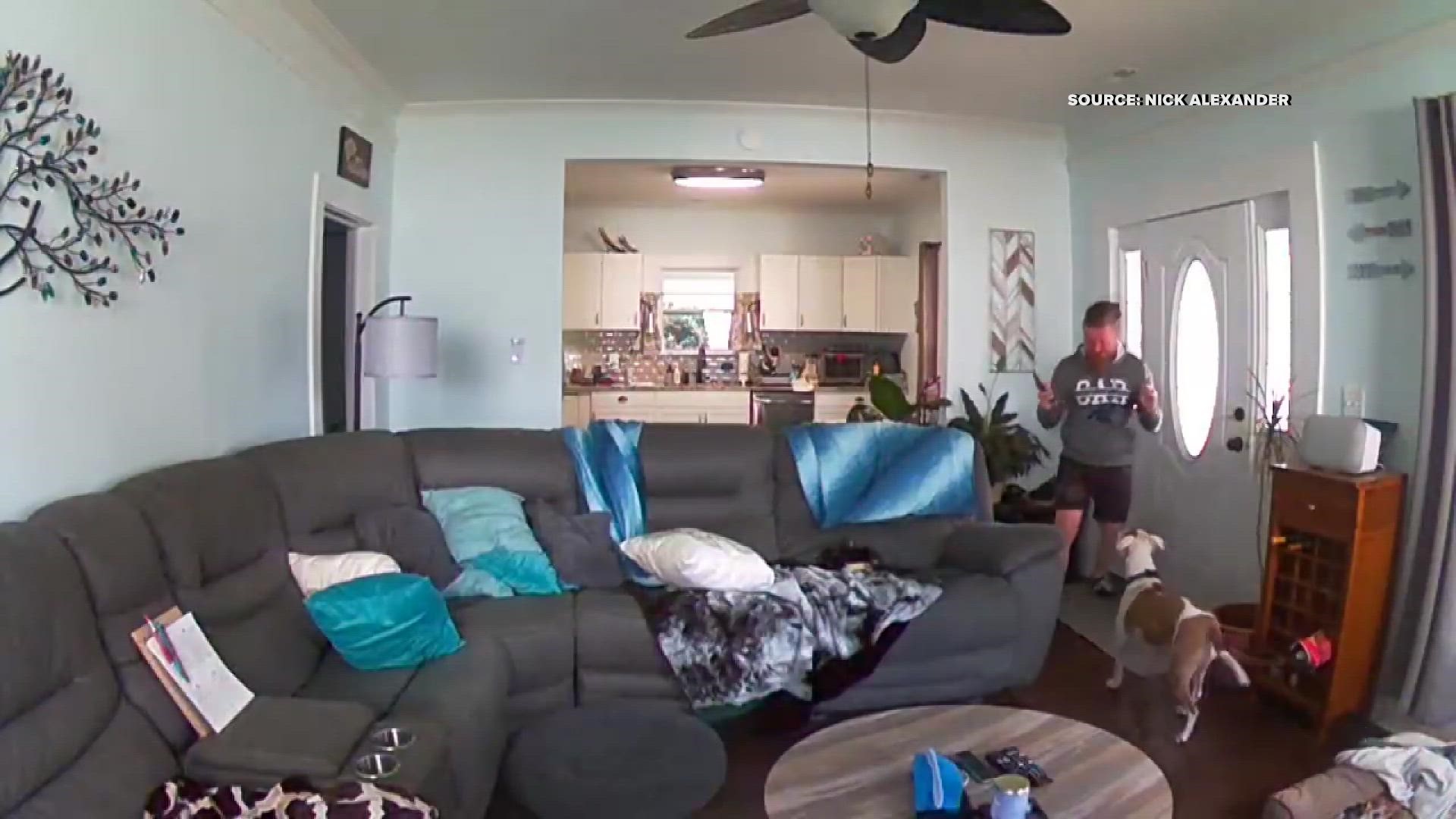 Panthers' fan Nick Alexander's security camera captured the moment he found out about the news.