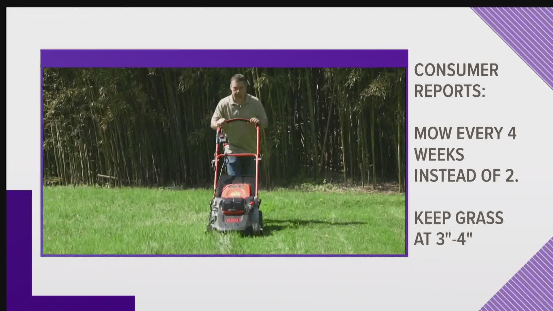 Consumer Reports suggest mowing your lawn every four weeks instead of two.