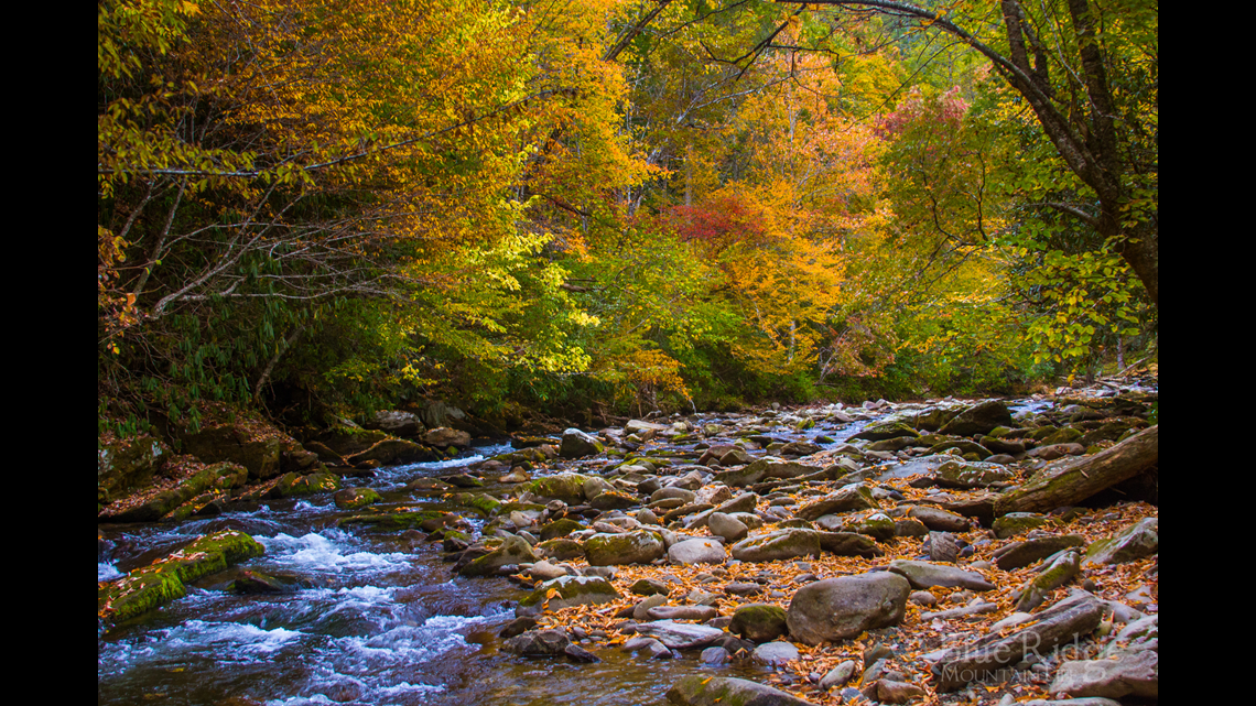 VERIFY When Is Peak Leaf Season in NC Mountains?