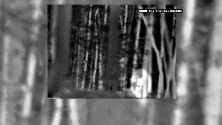 seeking bigfoot investigator believes sasquatch lurks in uwharrie forest wfmynews2 com in uwharrie forest