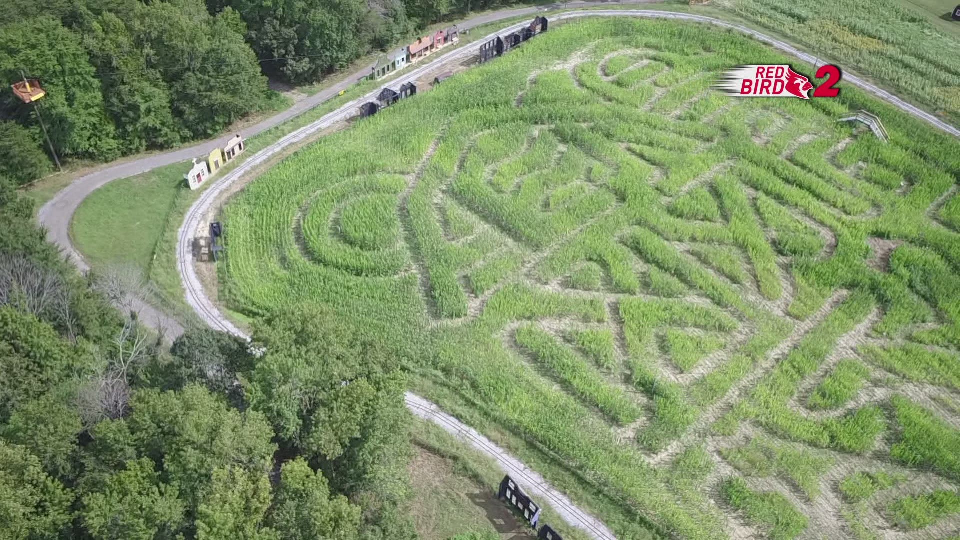 Check out the corn maze at Kersey Valley!