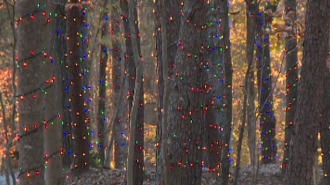 PHOTOS McLaurin Farms Christmas Light Show